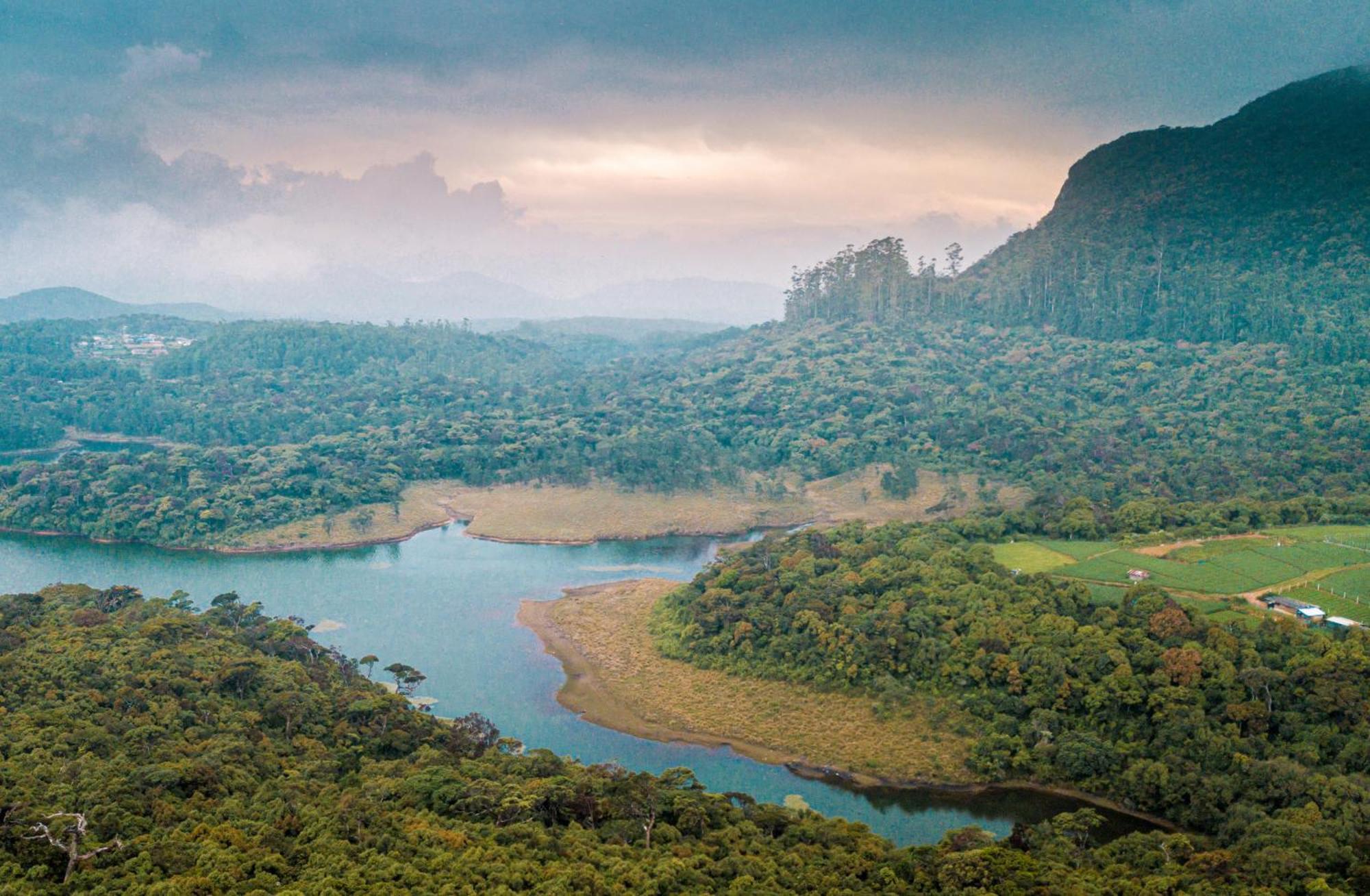 The Forest And Lake By Schofieldshire Nuwara Eliya Eksteriør billede